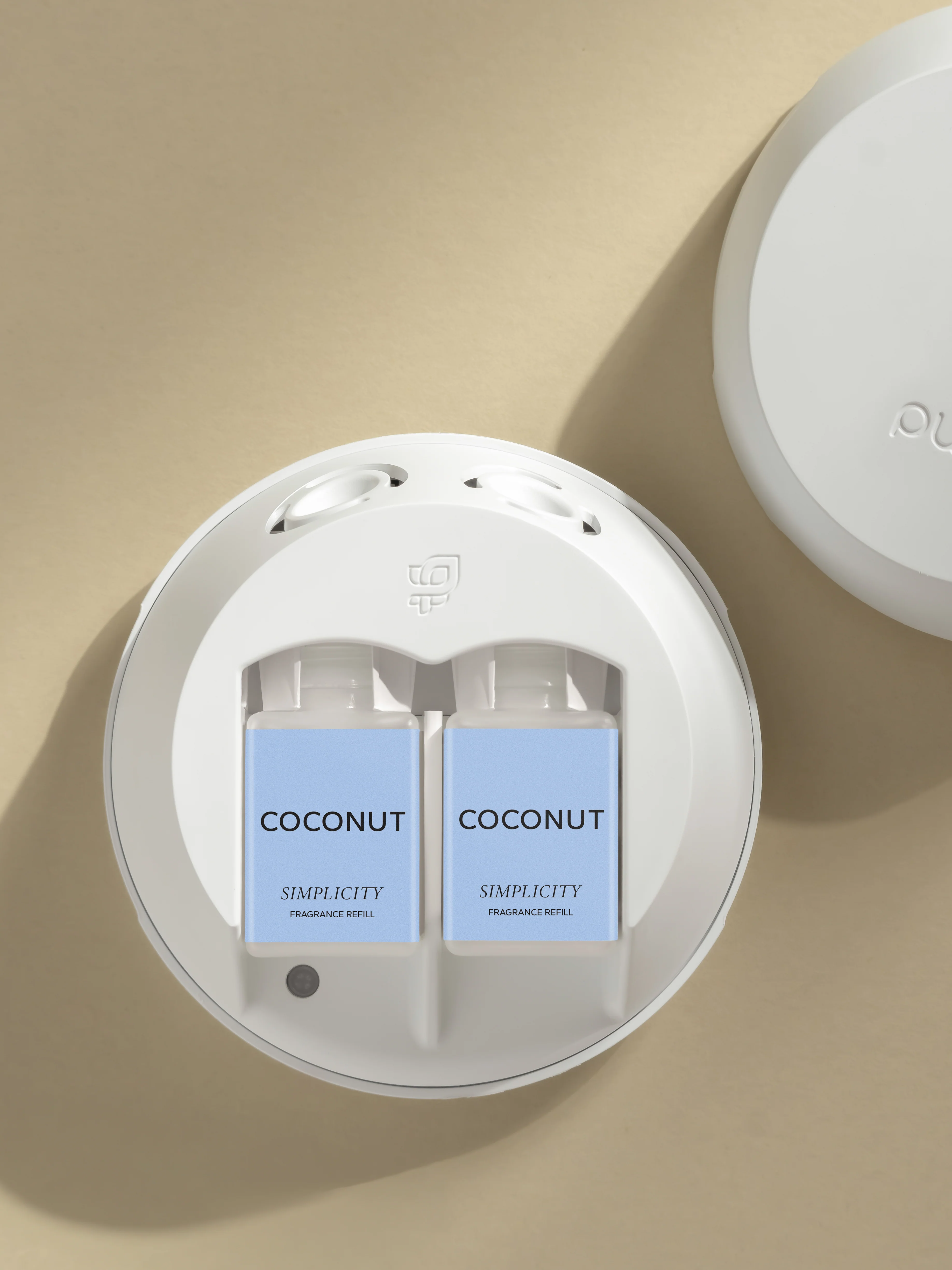 Coconut 3 Coconut