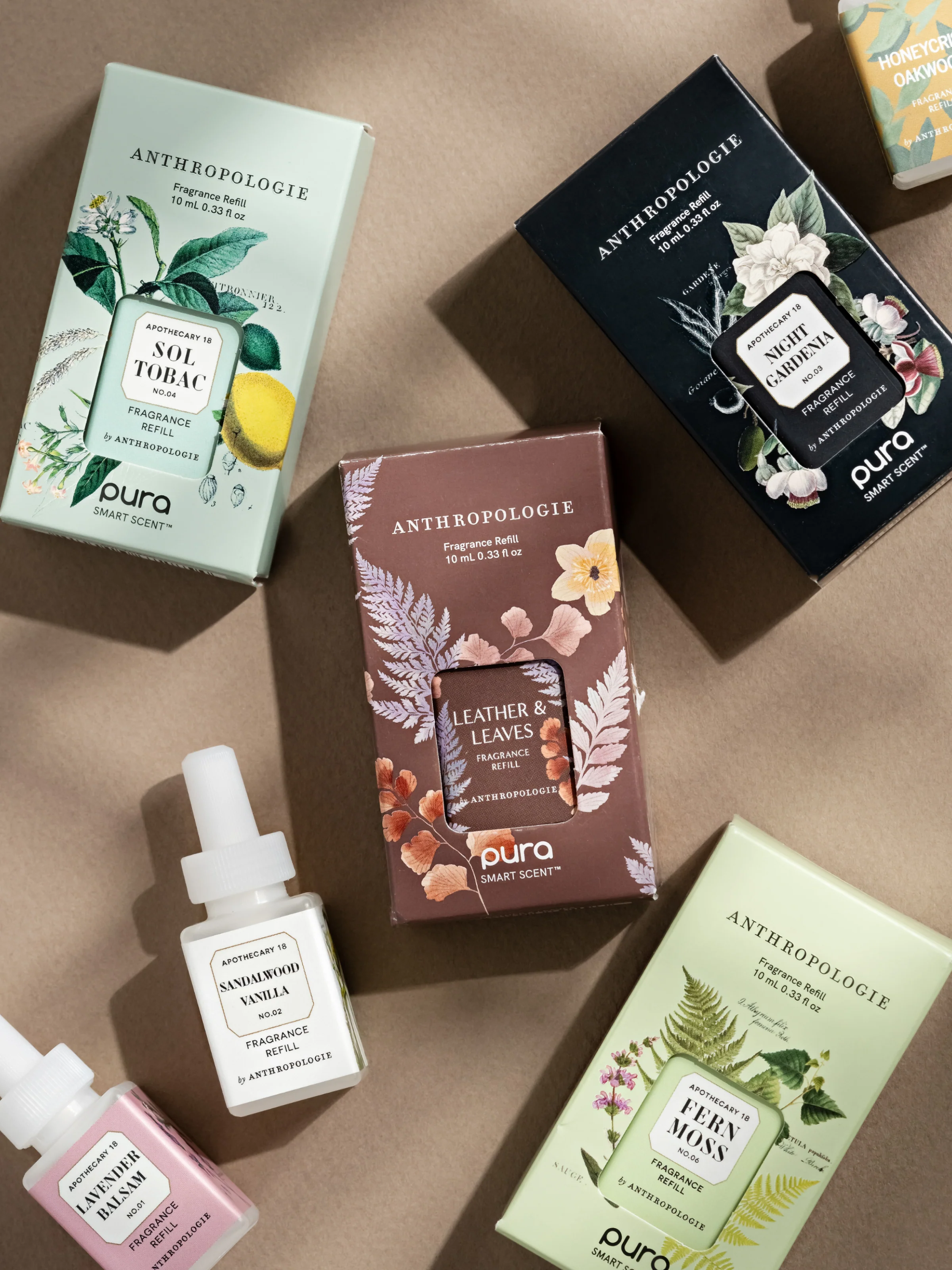 Anthropologie