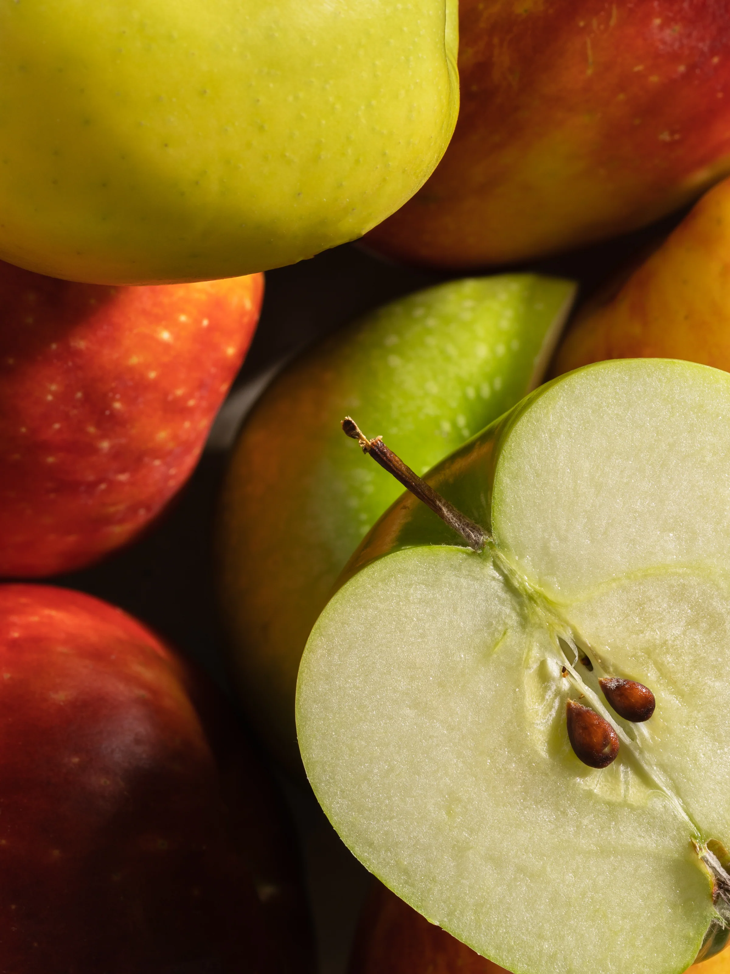Apple Cider Social
