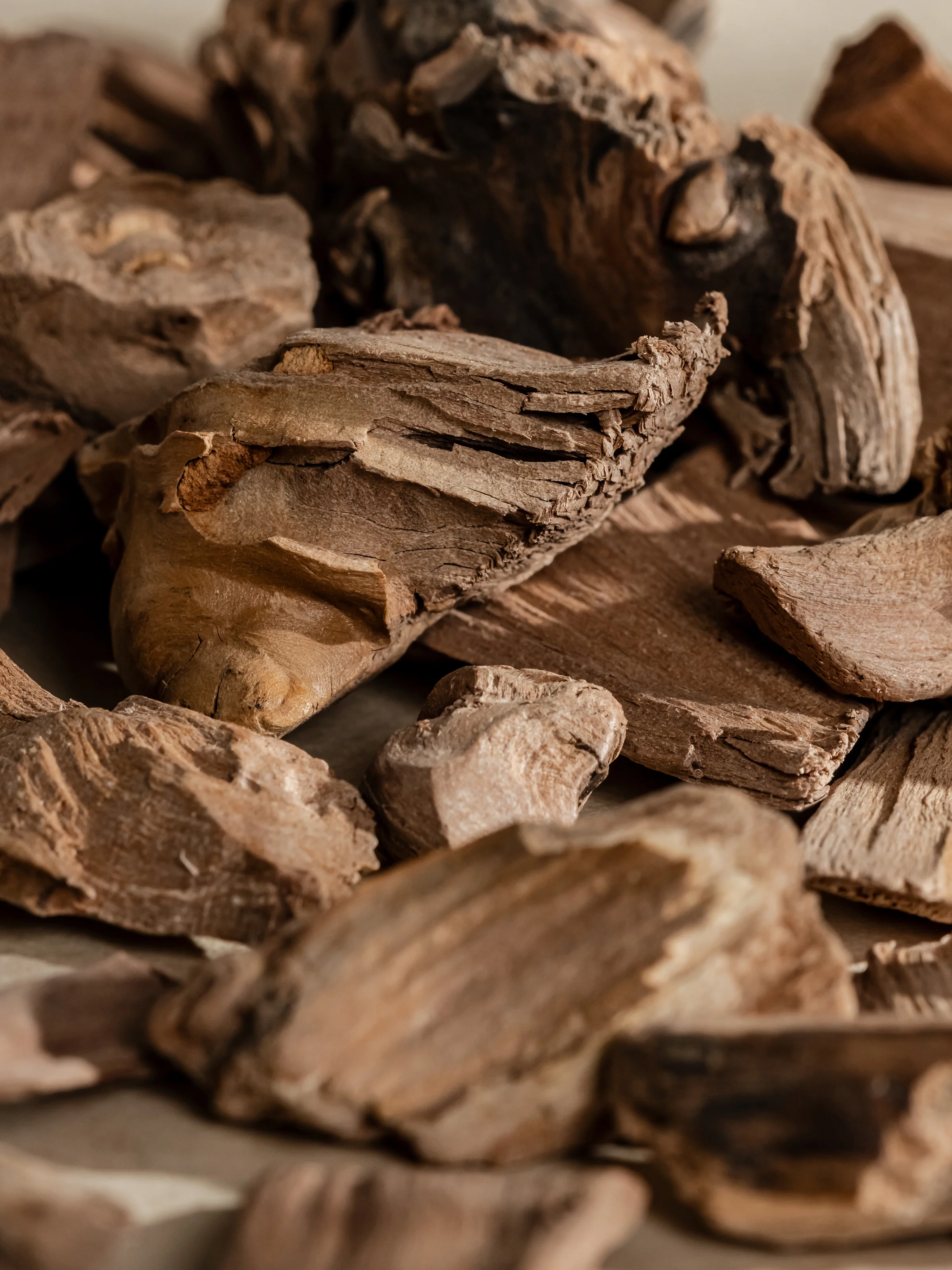 Chestnut Embers
