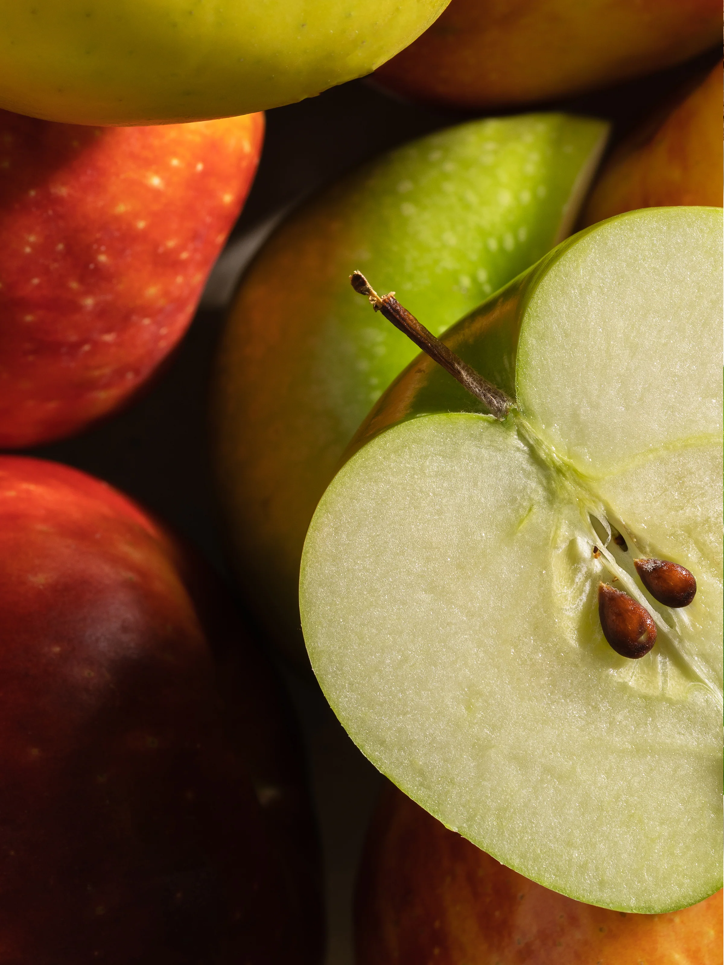 Apple Orchard