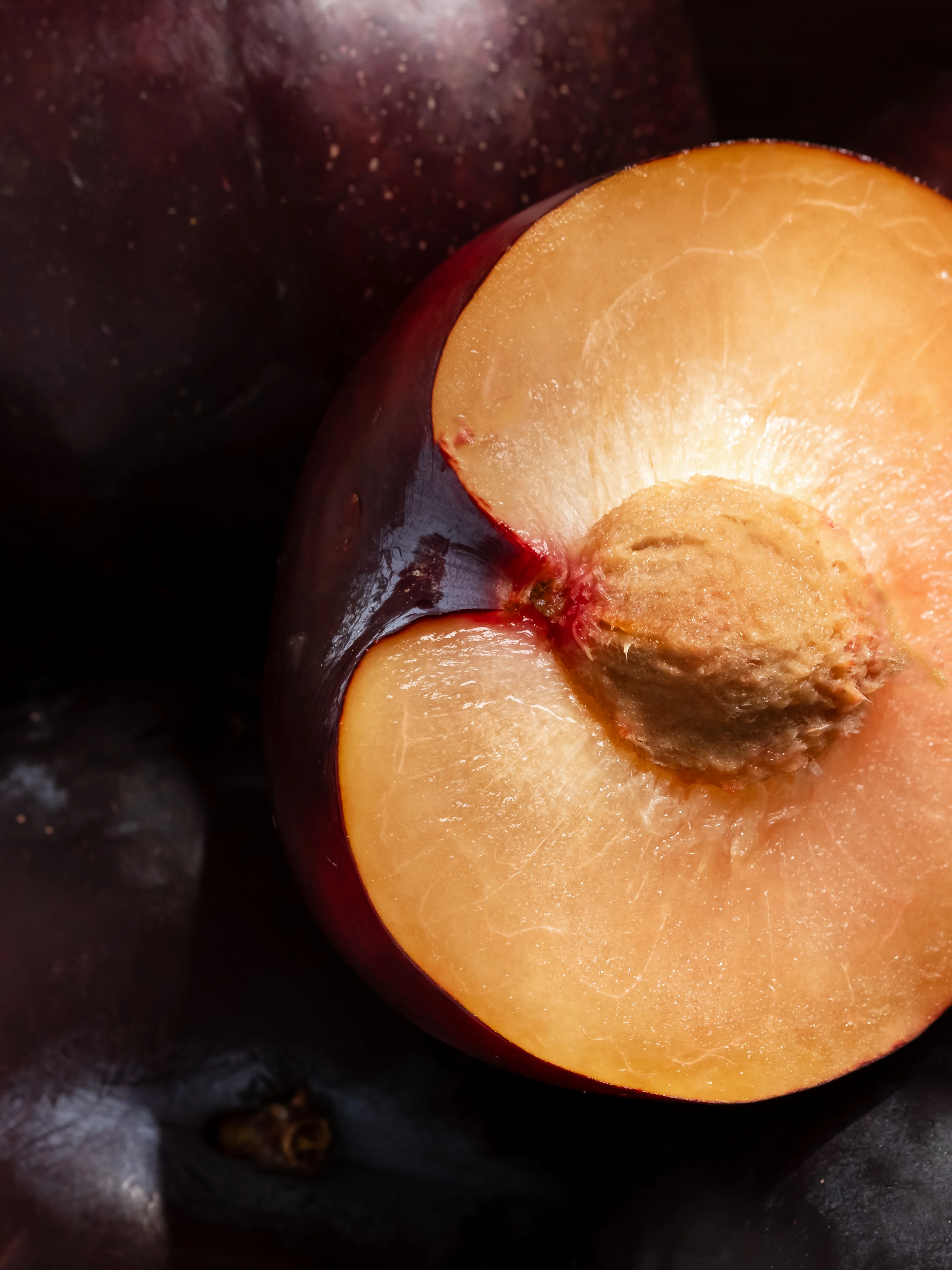 Autumn Plum